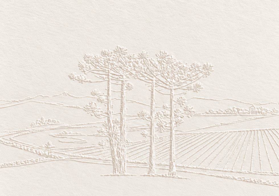 Ilustração em relevo de araucárias sobre colinas e vinhedos da Serra gaúcha